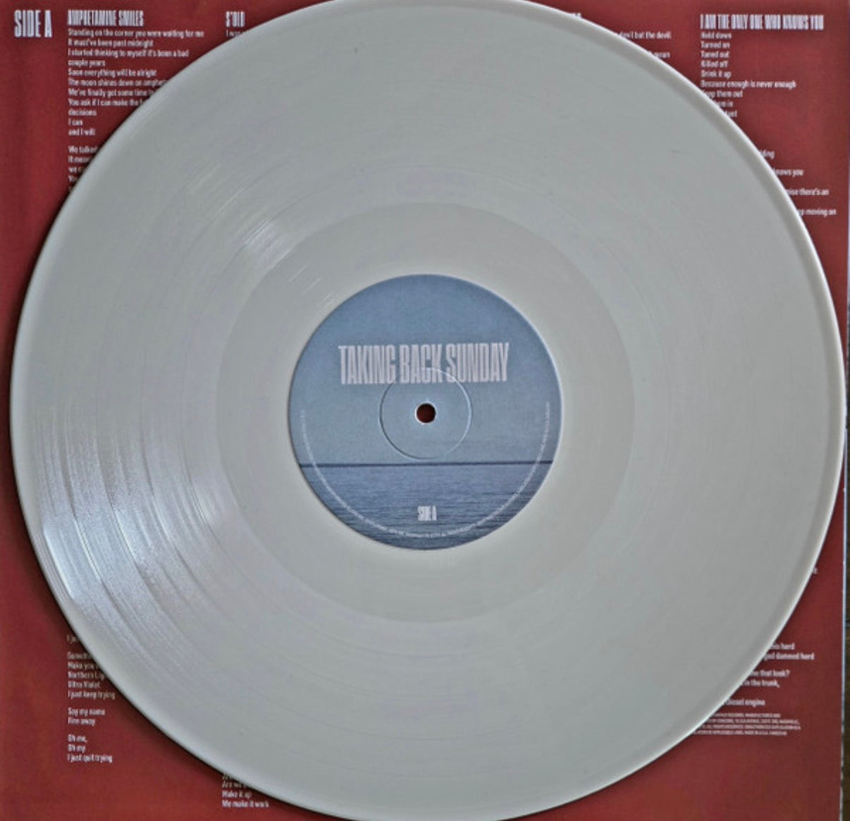 Taking Back Sunday-152 (Bone)