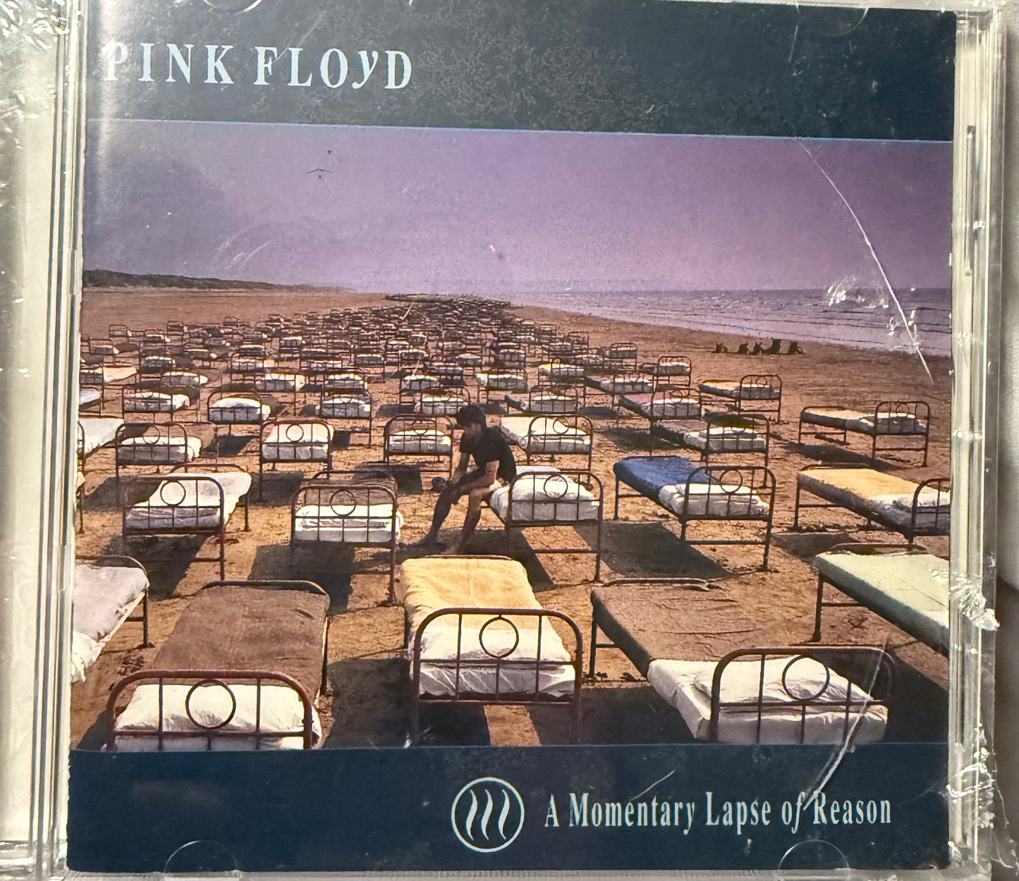 Pink Floyd-A Momentary Lapse In Reason (CD)