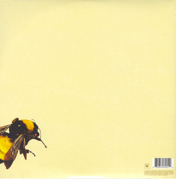 Tyler, The Creator – Scum Fuck Flower Boy (USED)