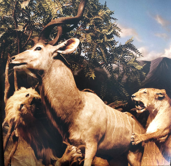 Interpol – Our Love To Admire (SEALED*)