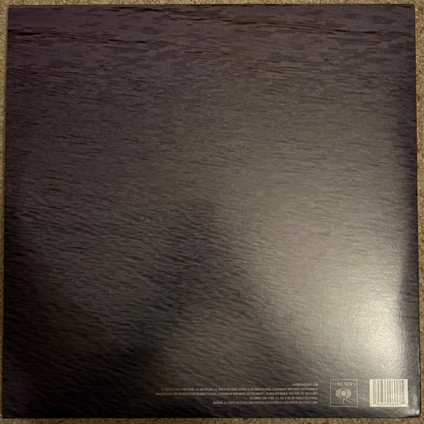 Baby Keem – The Melodic Blue (USED)