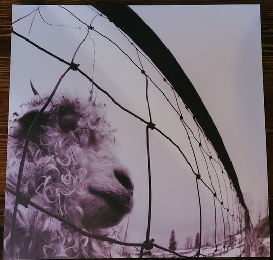 Pearl Jam-Vs. (30th Anniversary) (USED)