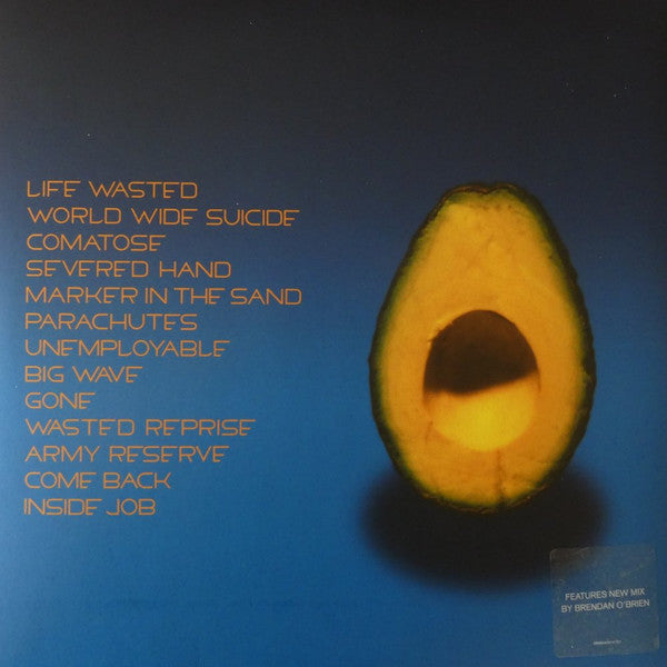 Pearl Jam-Pearl Jam (USED)